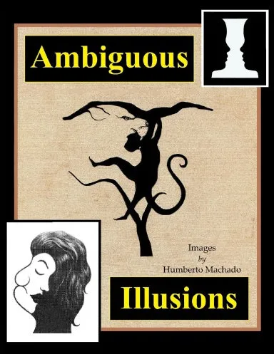 Ambiguous Illusions