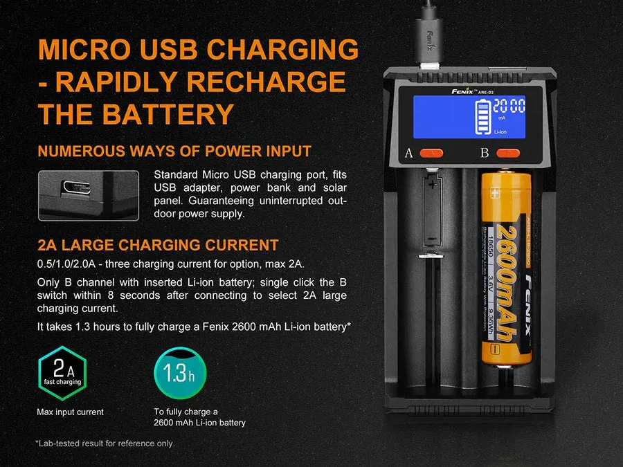 Battery Charger D2