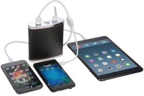 DIGITAL TREASURES 09357-PG 13000mah PowerFlask Power Bank