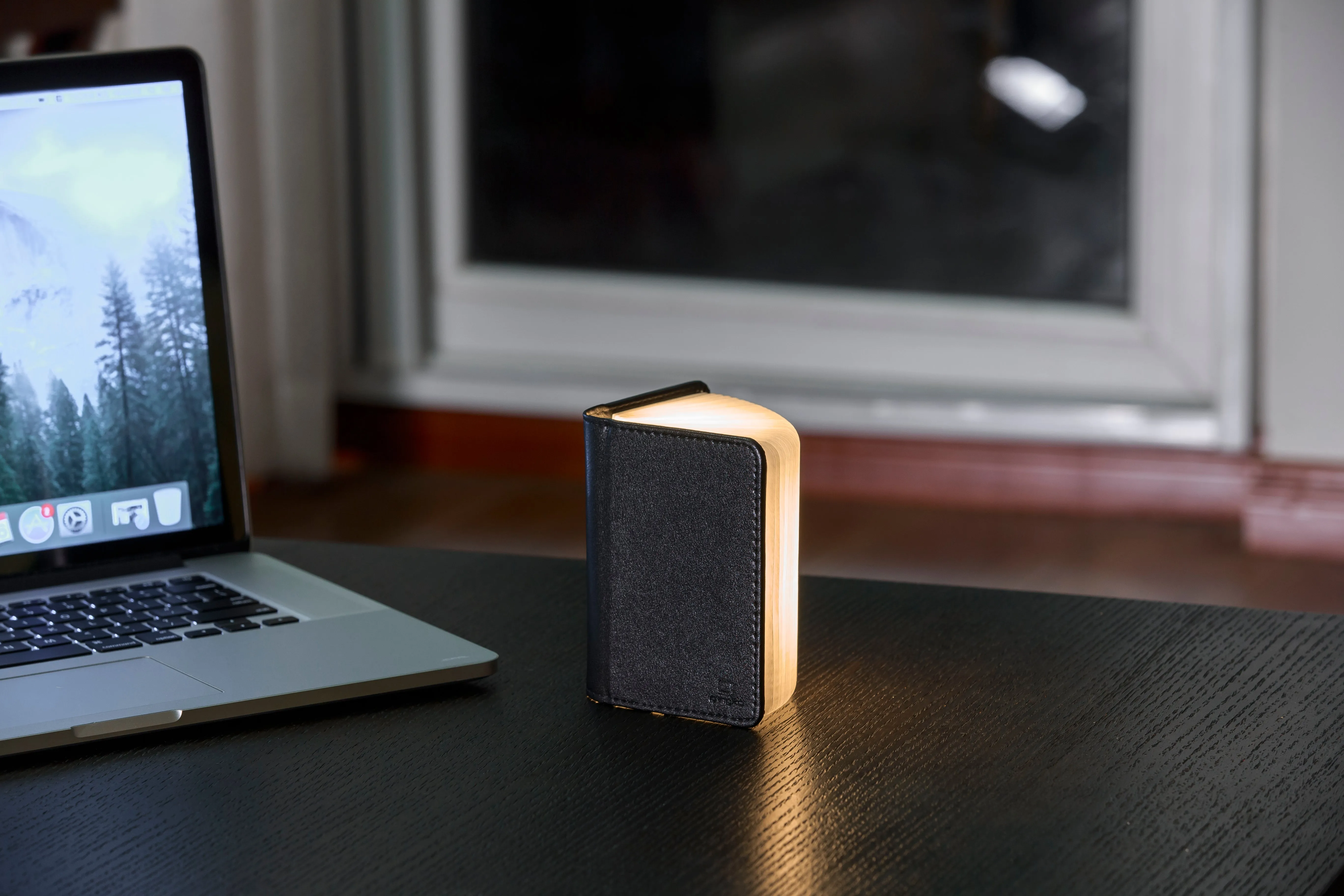 Ging-Ko Mini Black Leather Smart BookLight