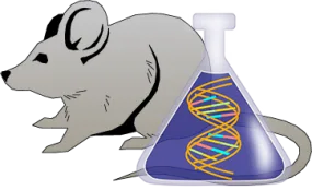 Mouse Factor IX Genetically Deficient Liver