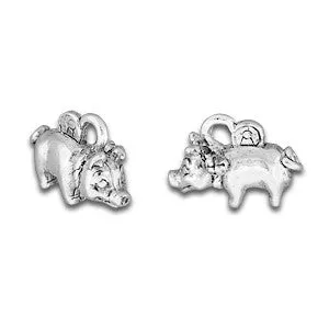 Piggy Bank Charms