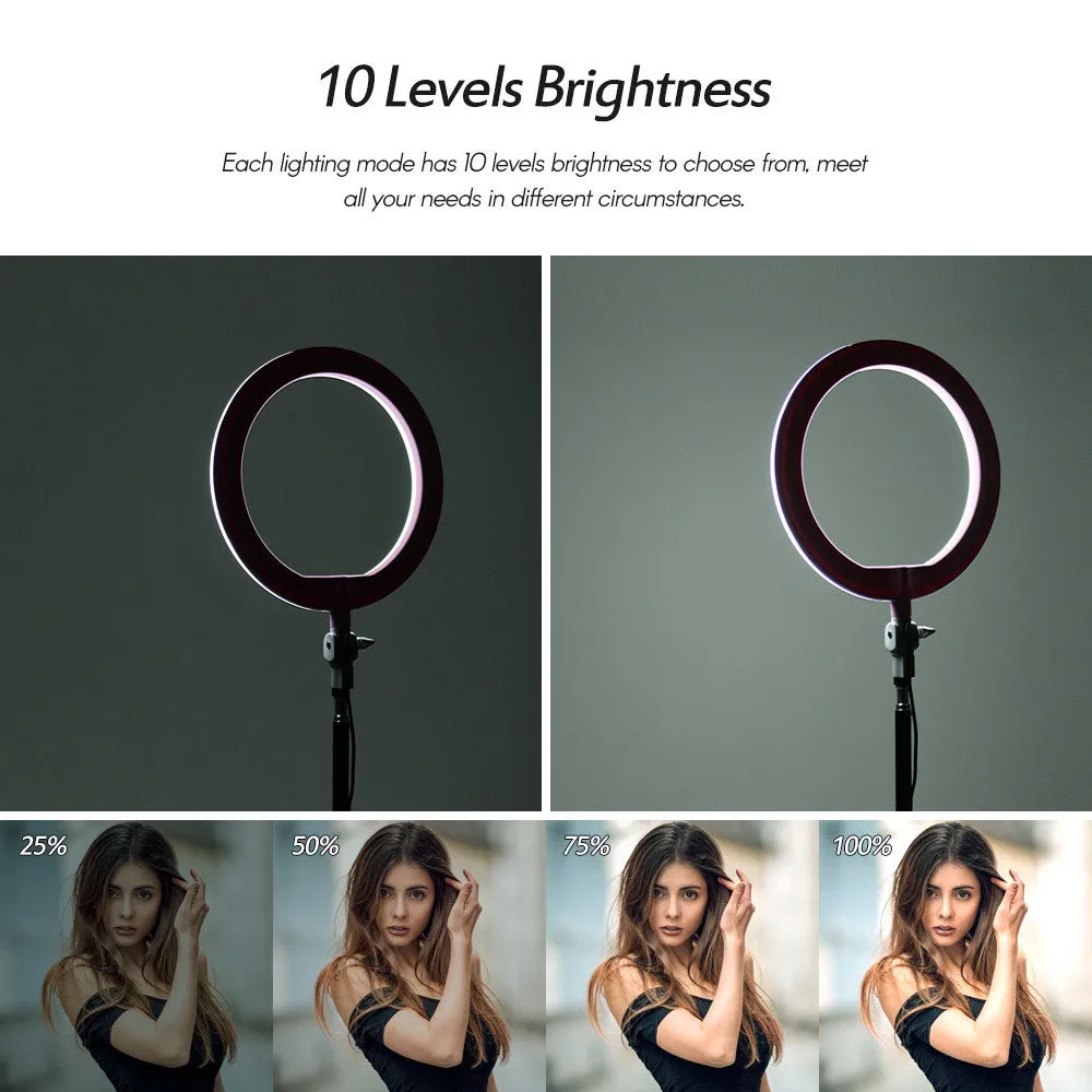 Pxel RK20 LED Ring Light 10-inches 26cm Bi-Color with 200cm 6ft Light Stand